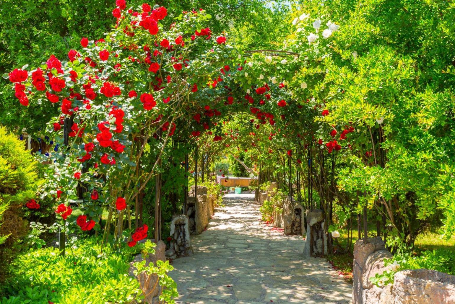 Villa Asli Paradise Muğla Exterior foto